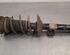 Shock Absorber VW POLO (AW1, BZ1), SEAT IBIZA V (KJ1, KJG)