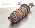 Shock Absorber FIAT TIPO Estate (356_), FIAT TIPO Hatchback (356_)