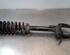 Shock Absorber MERCEDES-BENZ GLE (V167)