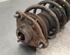 Shock Absorber KIA SPORTAGE (SL)