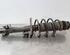 Shock Absorber VW POLO (6R1, 6C1)