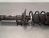 Shock Absorber VW GOLF VIII (CD1)