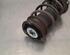 Shock Absorber VW GOLF VIII (CD1)