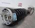 Shock Absorber JAGUAR F-PACE (X761)