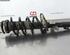 Shock Absorber FORD TRANSIT V363 Platform/Chassis (FED, FFD)