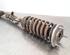 Shock Absorber MERCEDES-BENZ EQC (N293)