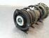 Shock Absorber VW PASSAT (3G2, CB2), VW PASSAT B8 Variant (3G5, CB5)