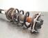 Shock Absorber AUDI A6 Avant (4G5, 4GD, C7)