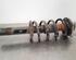 Shock Absorber AUDI A6 Avant (4G5, 4GD, C7)