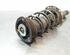 Shock Absorber VW POLO (AW1, BZ1)