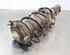 Shock Absorber HYUNDAI i30 (PDE, PD, PDEN), HYUNDAI i30 FASTBACK (PDE, PDEN)