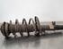 Shock Absorber CITROËN DS3, DS DS 3 (SA_)