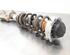 Shock Absorber AUDI A7 Sportback (4KA)