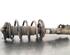 Shock Absorber HYUNDAI TUCSON (TL, TLE)