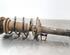 Shock Absorber SKODA OCTAVIA III Combi (5E5, 5E6)