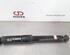 Shock Absorber NISSAN X-TRAIL (T32_)