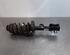 Shock Absorber FIAT TIPO Estate (356_), FIAT TIPO Hatchback (356_)