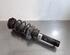 Shock Absorber VW BEETLE Convertible (5C7, 5C8), VW BEETLE (5C1, 5C2)