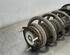 Shock Absorber FORD TRANSIT V363 Bus (FAD, FBD)