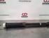 Shock Absorber RENAULT CLIO V (B7_)