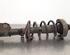 Shock Absorber OPEL VIVARO B Van (X82)