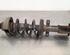 Shock Absorber OPEL VIVARO B Van (X82)