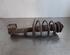 Shock Absorber CITROËN BERLINGO / BERLINGO FIRST Box Body/MPV (M_)