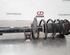 Shock Absorber VW GOLF VIII (CD1)