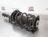 Shock Absorber VW GOLF VIII (CD1)