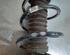 Shock Absorber RENAULT CLIO III (BR0/1, CR0/1), RENAULT CLIO IV (BH_)