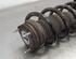 Shock Absorber FORD TRANSIT V363 Bus (FAD, FBD)