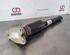 Shock Absorber BMW 3 (F30, F80)