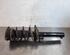 Shock Absorber VW TIGUAN (AD1, AX1), VW TIGUAN ALLSPACE (BW2)