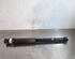 Shock Absorber RENAULT CLIO V (B7_)