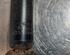 Shock Absorber RENAULT CLIO V (B7_)