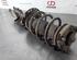 Shock Absorber HYUNDAI TUCSON (TL, TLE)