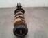 Shock Absorber OPEL VIVARO B Bus (X82), OPEL VIVARO B Van (X82), RENAULT TRAFIC III Van (FG_)