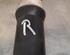 Shock Absorber RENAULT CLIO V (B7_)