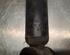 Shock Absorber RENAULT CLIO V (B7_)