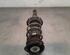 Shock Absorber VW POLO (AW1, BZ1)