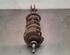 Shock Absorber RENAULT TRAFIC III Van (FG_)