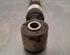 Shock Absorber FORD KA+ (UK, FK)