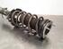 Shock Absorber FORD KA+ (UK, FK)