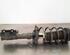 Shock Absorber FORD KA+ (UK, FK)