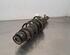 Shock Absorber SKODA FABIA III (NJ3)