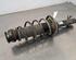 Shock Absorber SKODA FABIA III (NJ3)