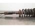 Shock Absorber MASERATI GHIBLI III (M157), MASERATI QUATTROPORTE VI