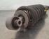 Shock Absorber CITROËN C5 AIRCROSS (A_)