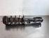 Shock Absorber FORD PUMA (J2K, CF7)