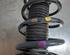 Shock Absorber FORD KUGA II (DM2)